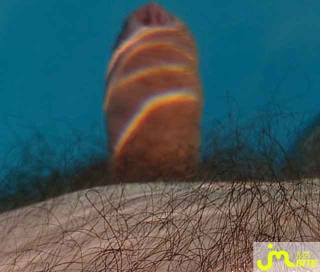 bites de MisterO37