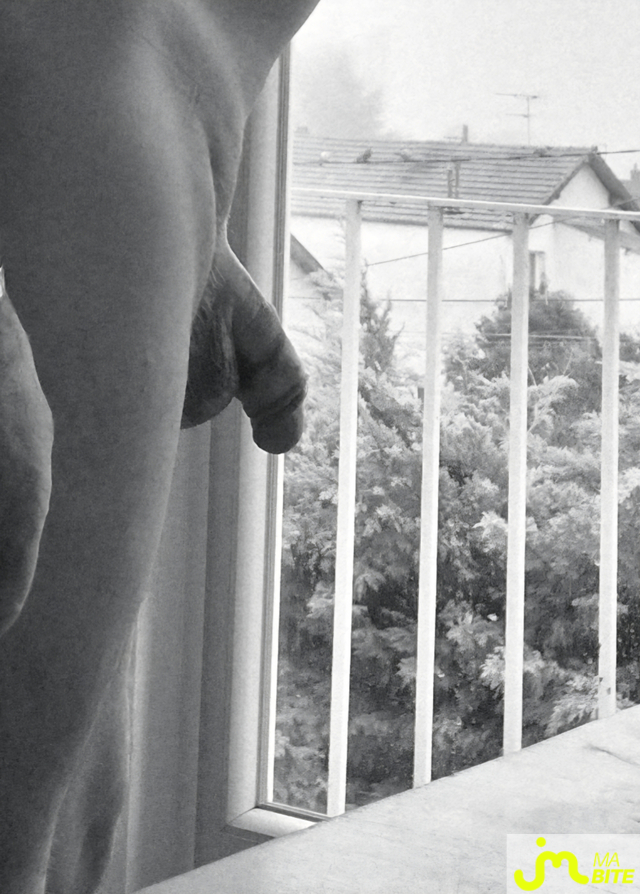 Photos de bites : entre ombres et lumieres