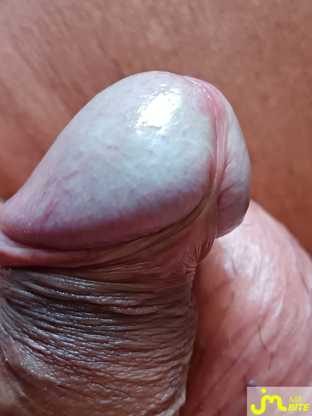 bites de Le Grand Houdini