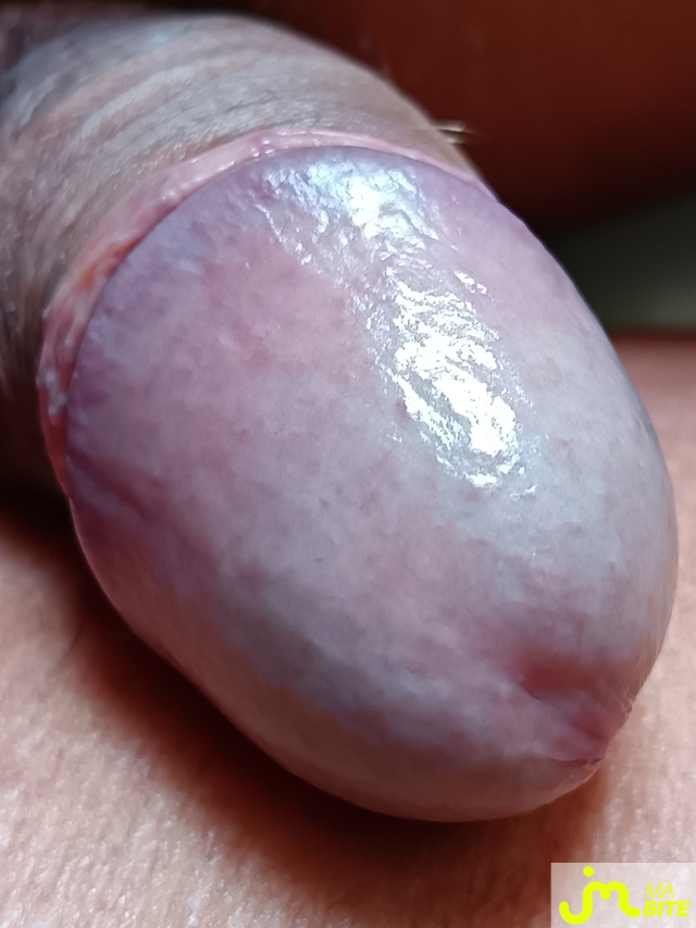 bites de Le Grand Houdini