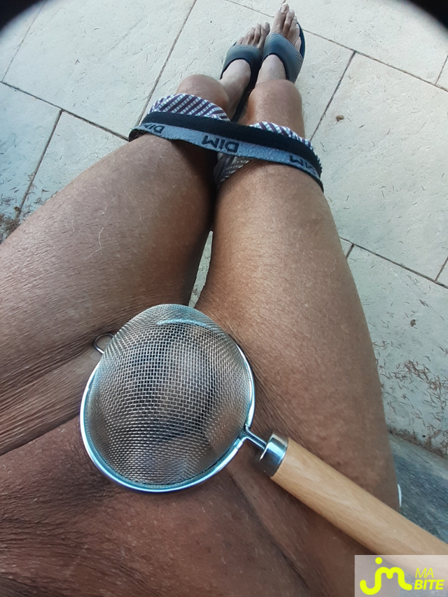 bites de Minib