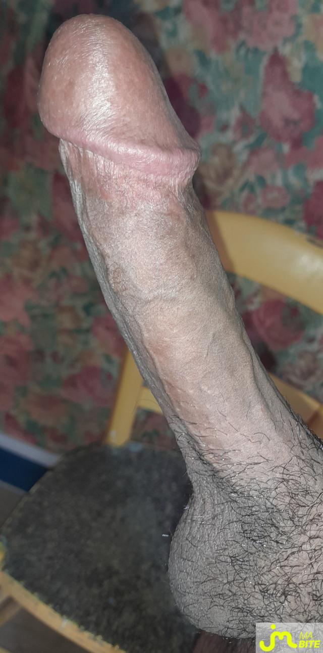bites de &Eacute;rictismey