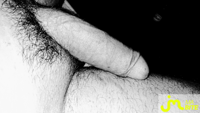 bites de Canaye
