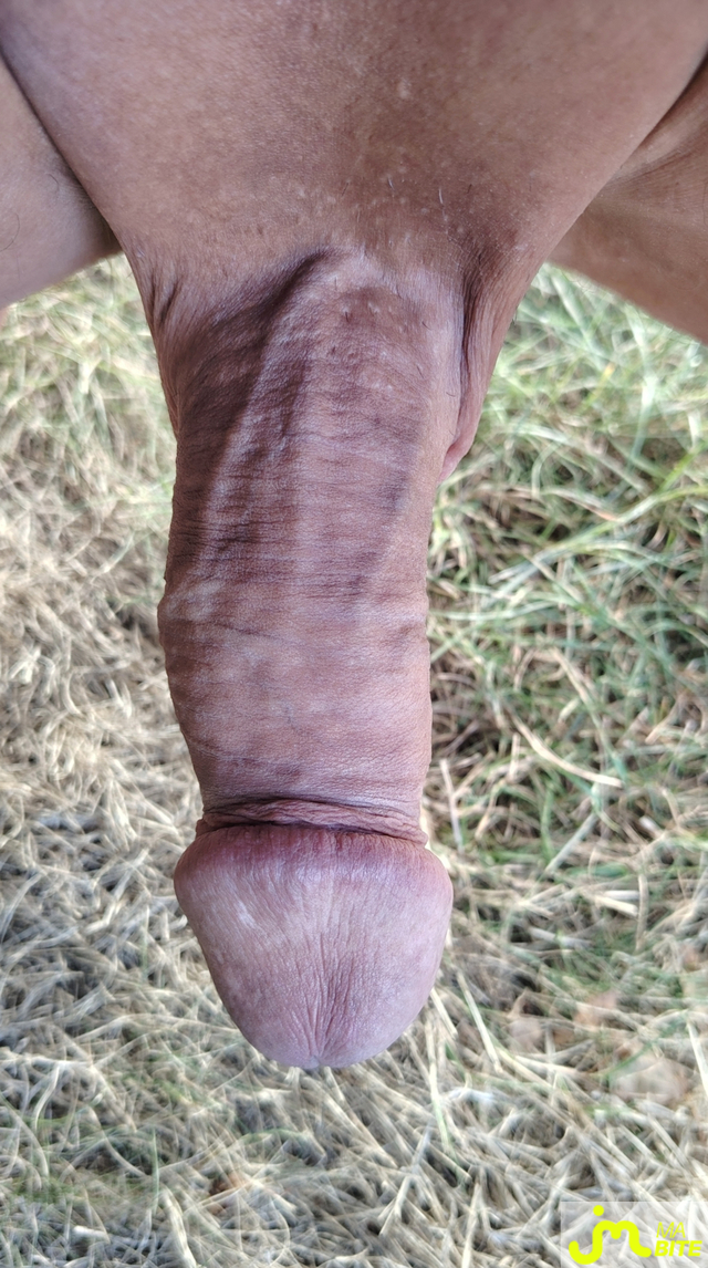 bites de Triskel56