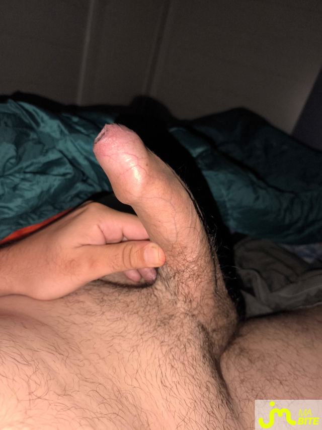 bites de FAN44