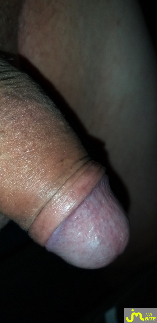 bites de Petit brun