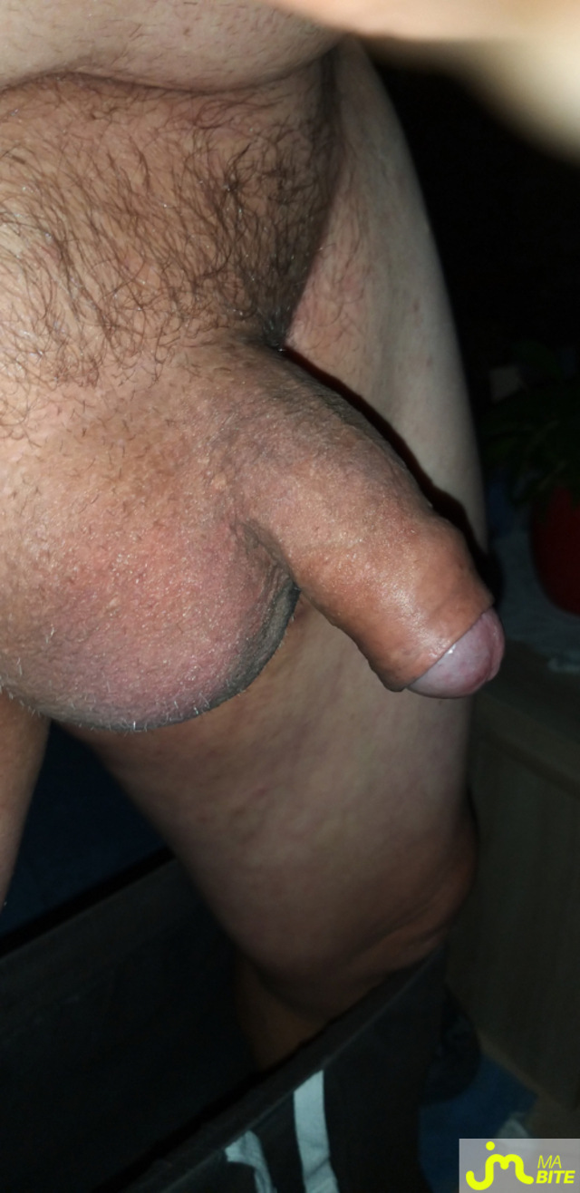 bites de Petit brun