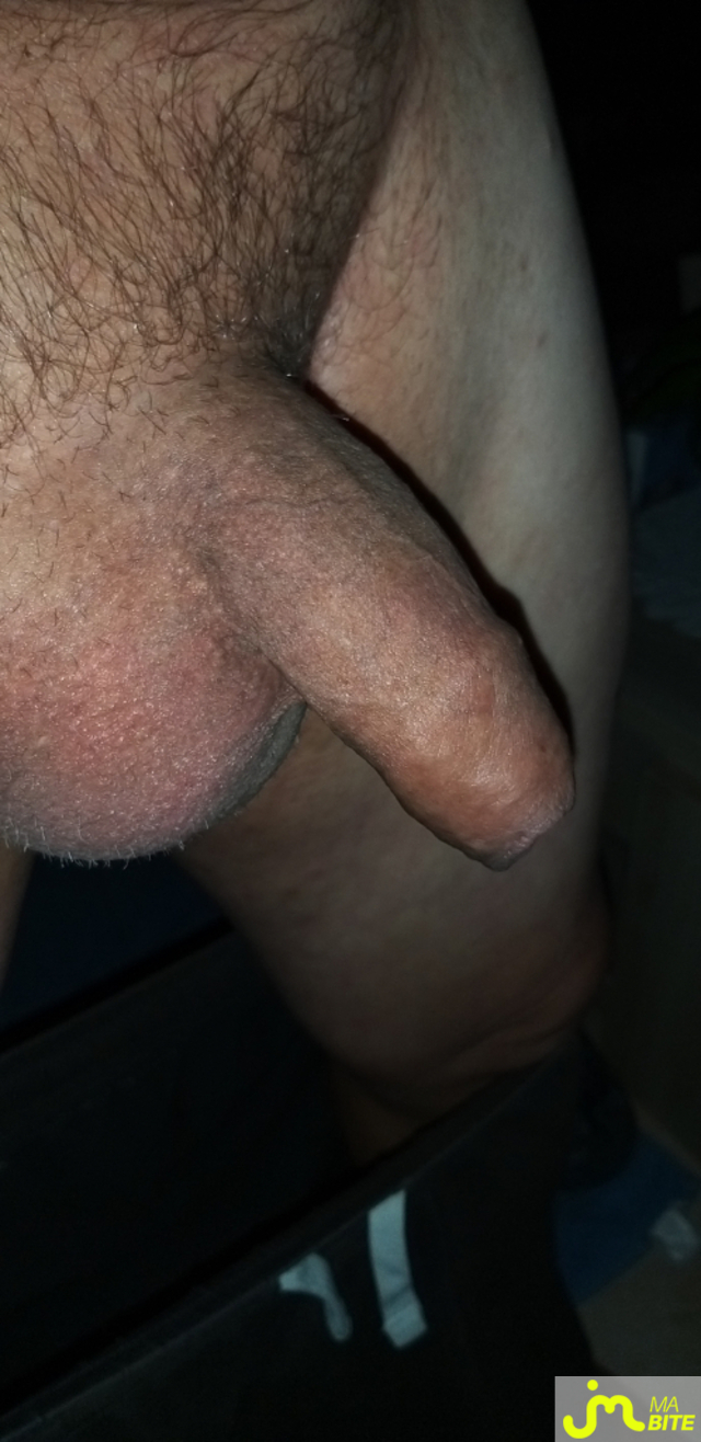 bites de Petit brun
