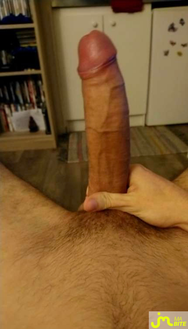 bites de Monstre23
