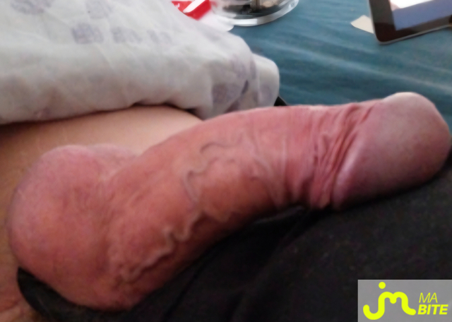 bites de J'adore &ccedil;a 