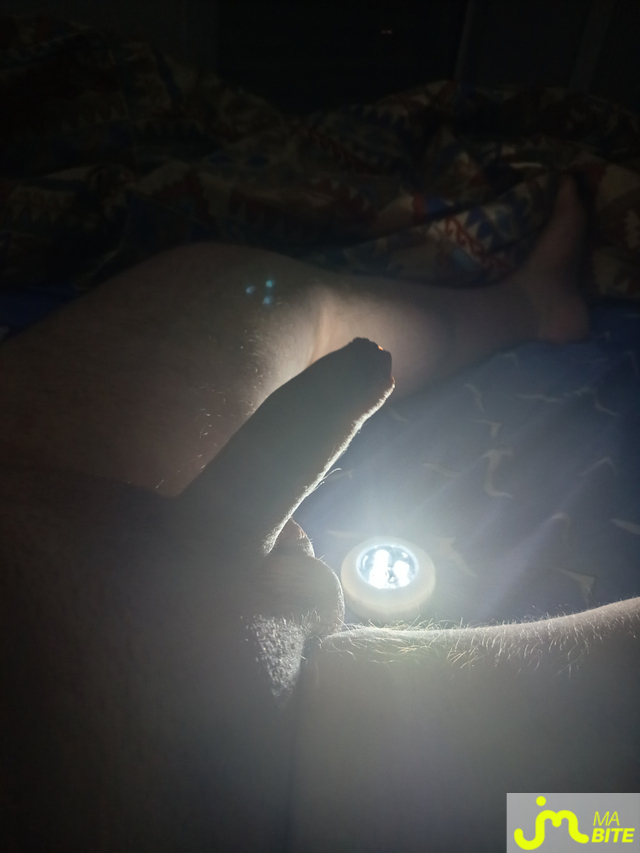 bites de Toto3385