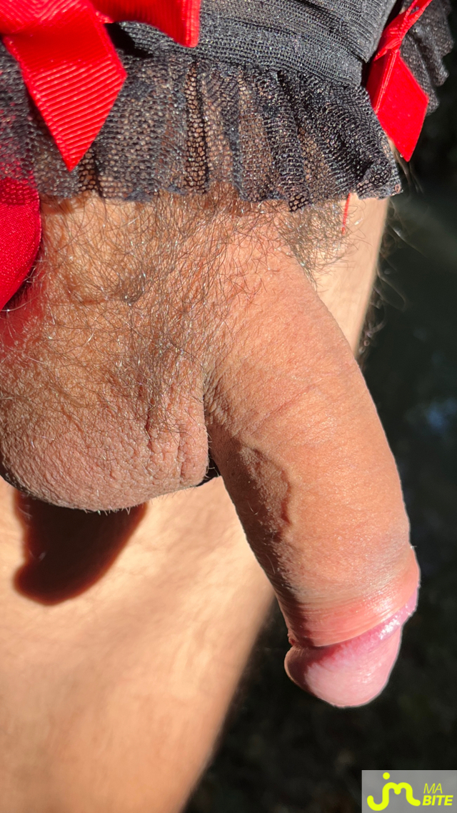 Photos de bites : Exhib au soleil, la suite