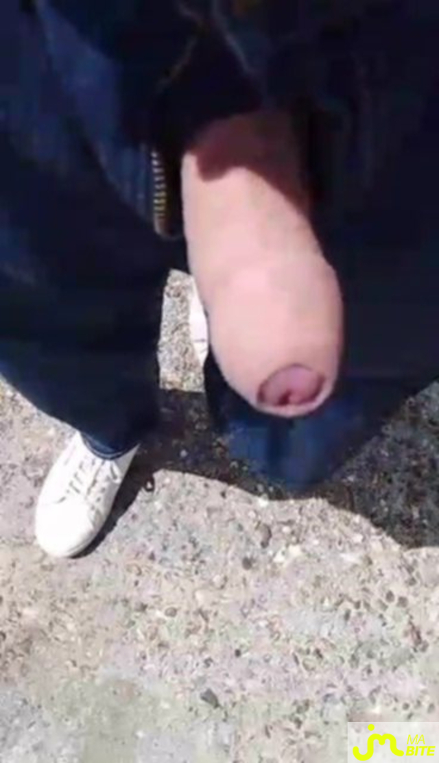 bites de Veys 59