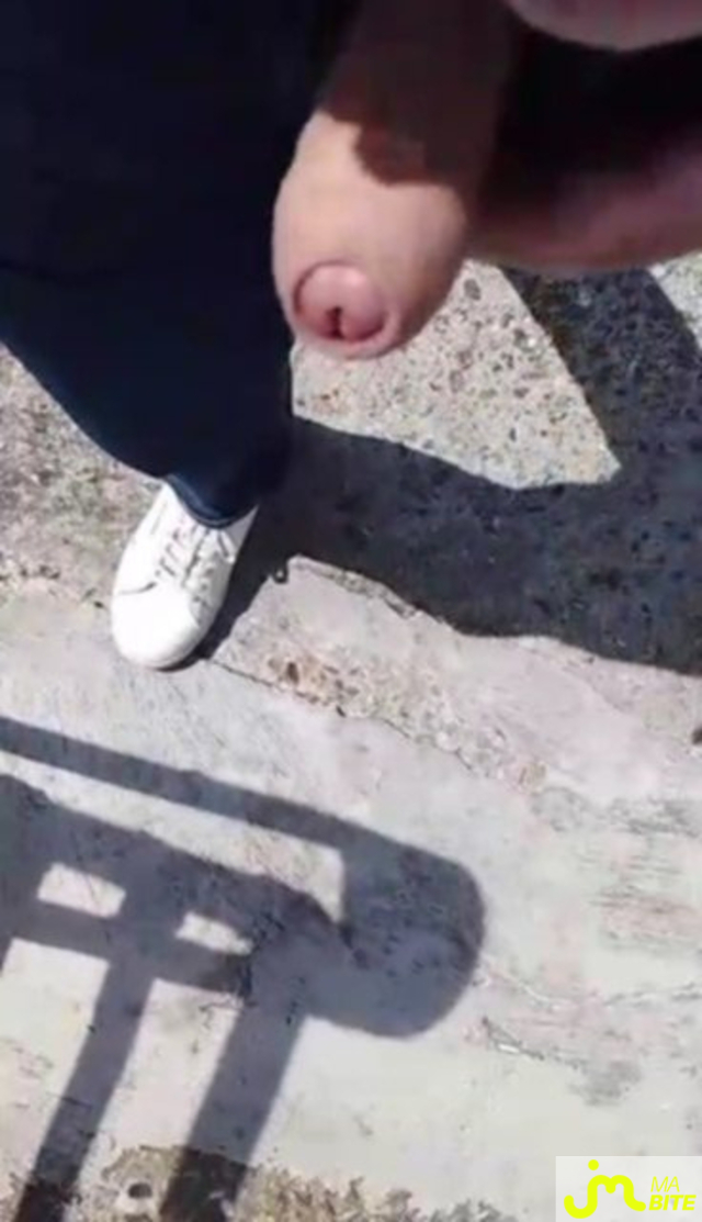 bites de Veys 59