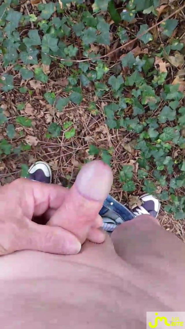 bites de Veys 59