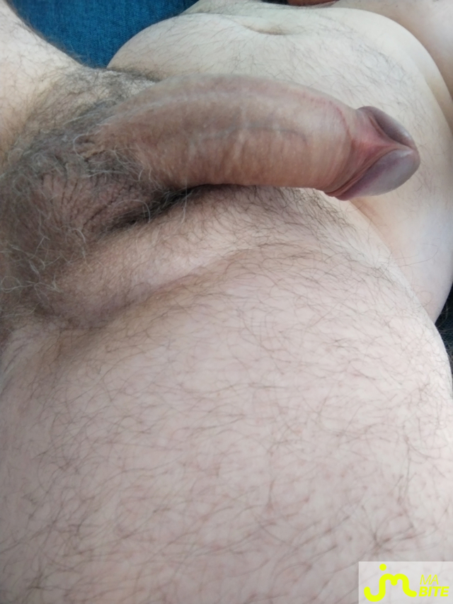 bites de Jerest