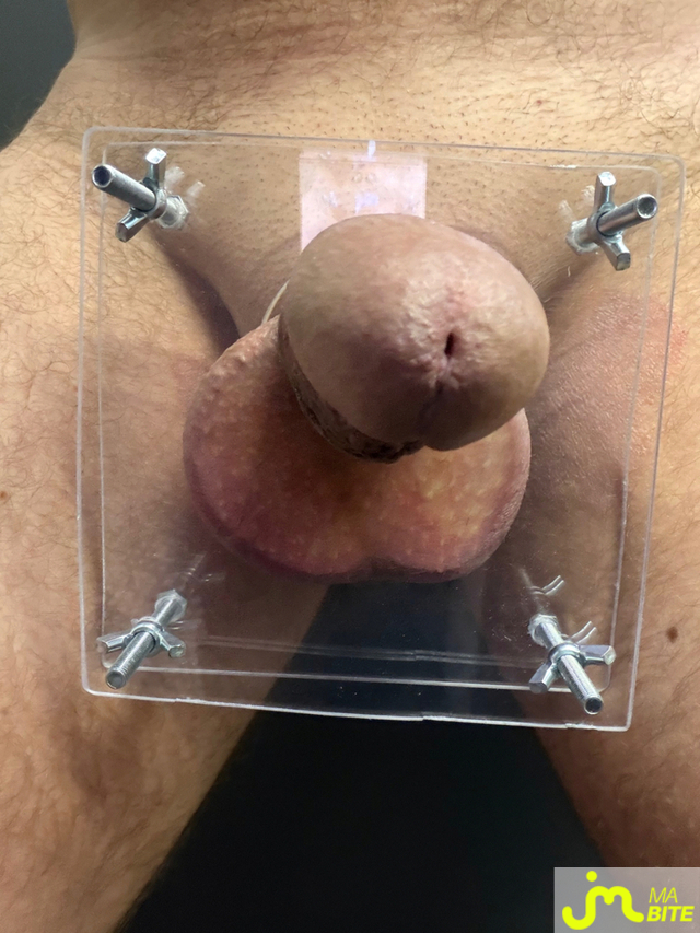 bites de Mau6950