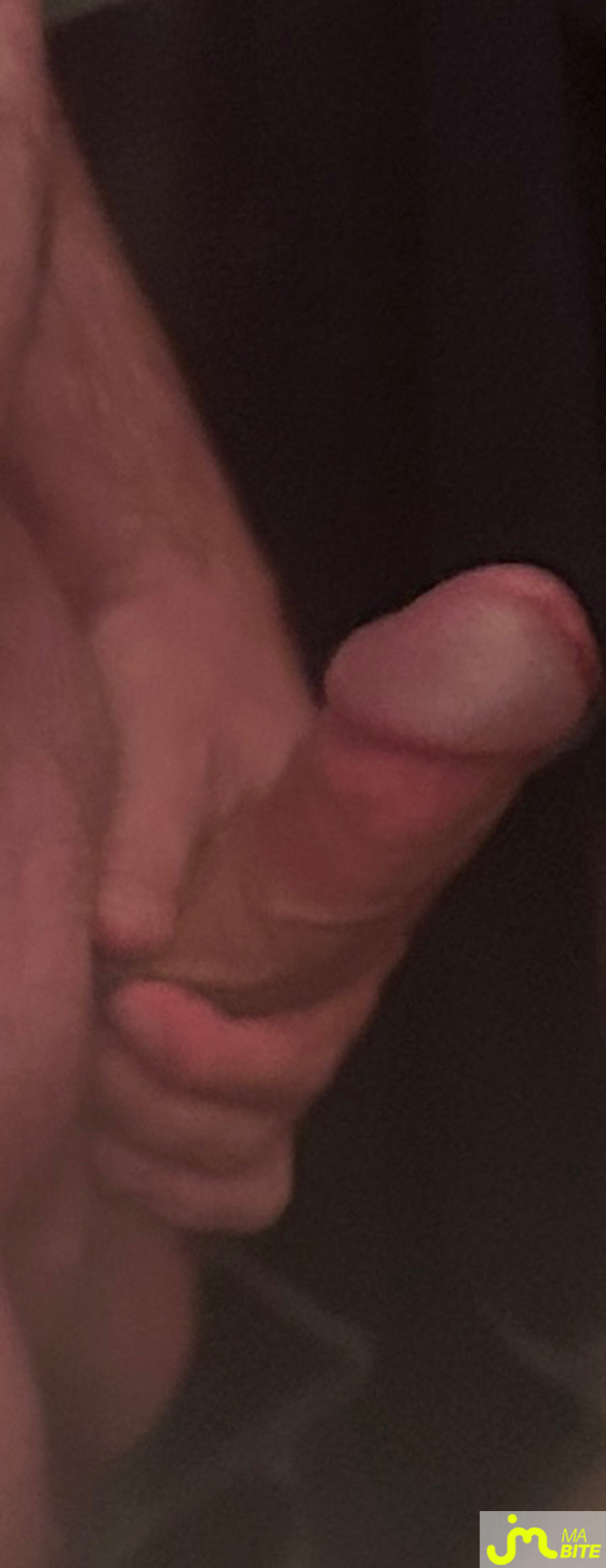 bites de Stephp83