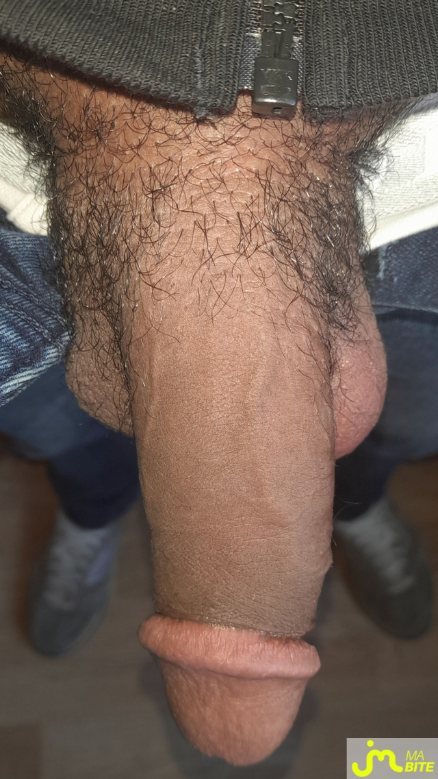 bites de &Eacute;rictismey
