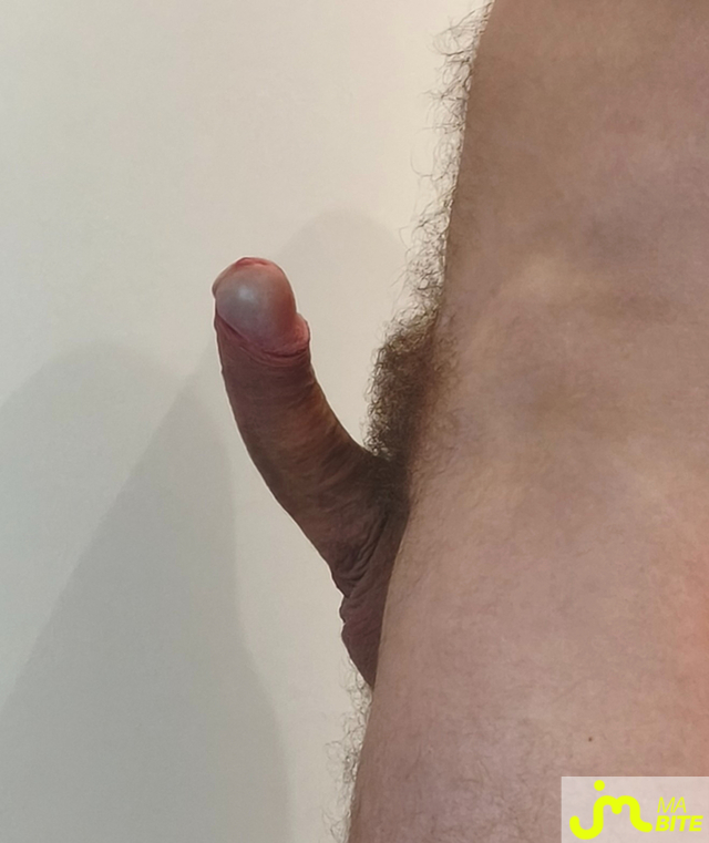 bites de Faireplaisir95000