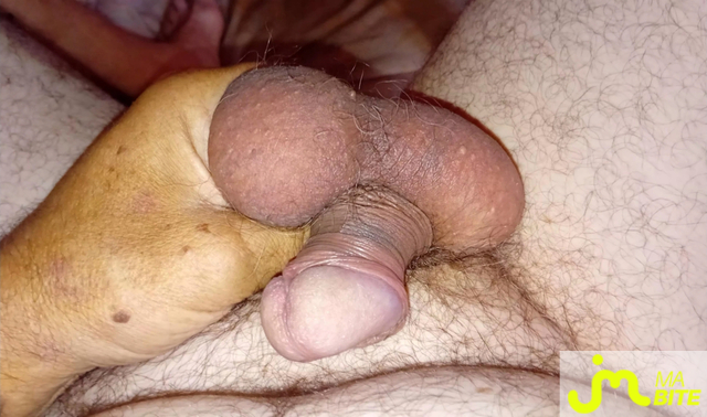 bites de ricou47