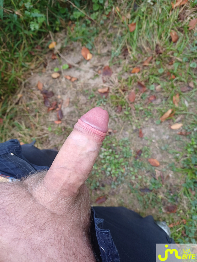 Photos de bites : Petite promenade en for&ecirc;t 