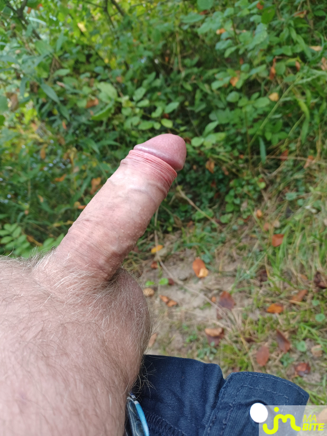 bites de Willy865