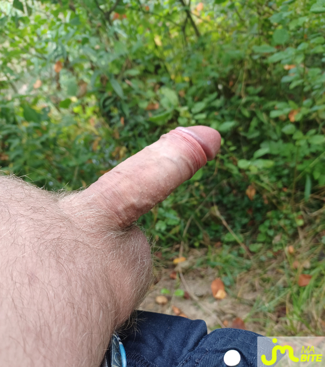 bites de Willy865