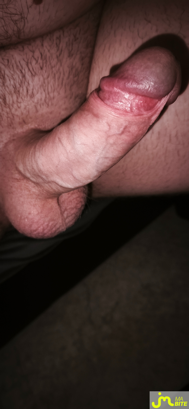 bites de Dadoo88