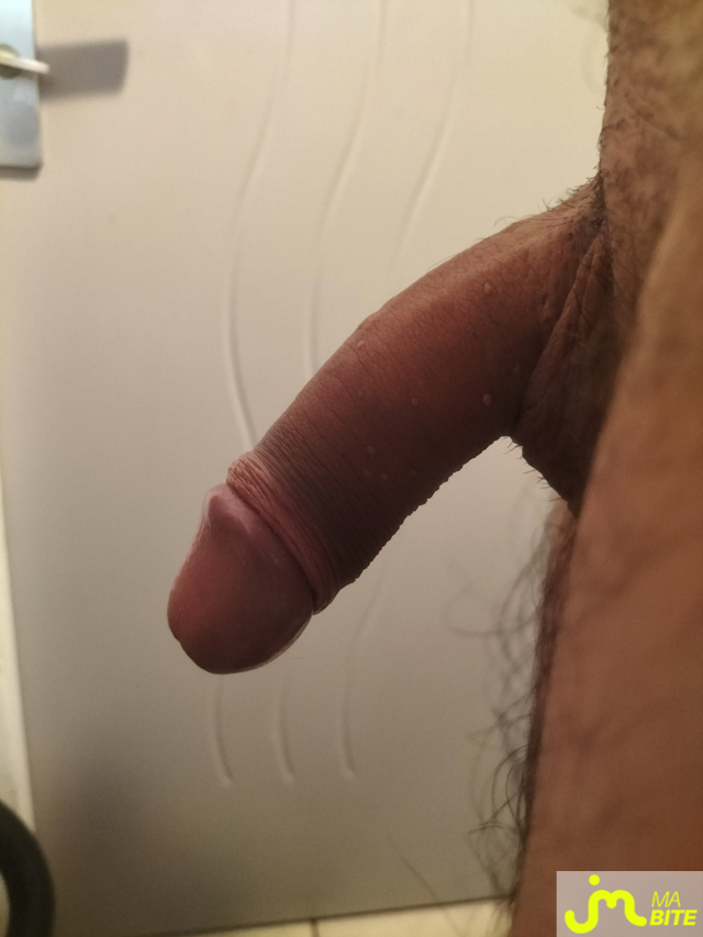 bites de Ch'tipau