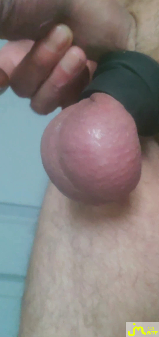 bites de Queute19