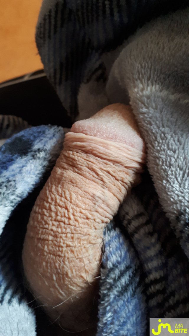 Photos de bites : Week end