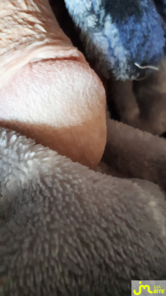 bites de Casper 
