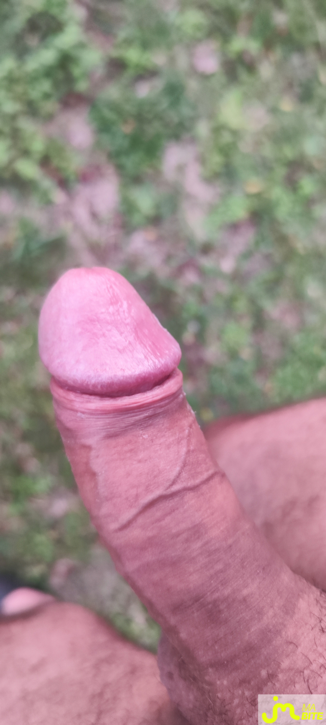 bites de Guillaume 16