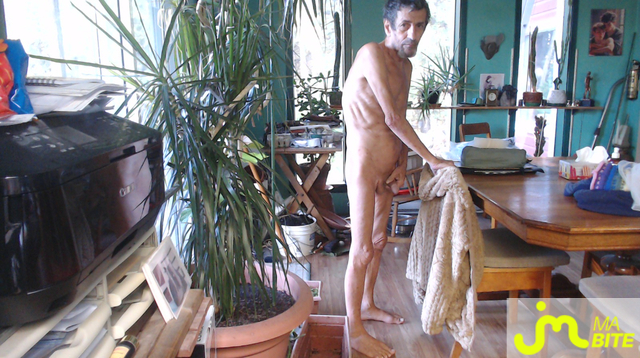 bites de jolie27