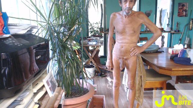 bites de jolie27