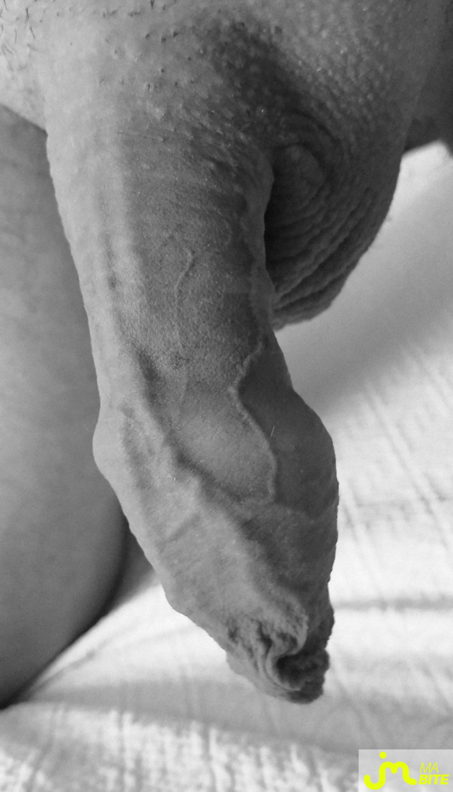 bites de Friandise32