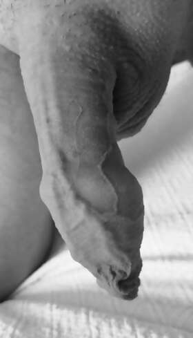 Photos de bites : Noir et blanc 