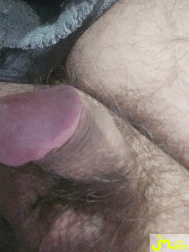 bites de Did49175