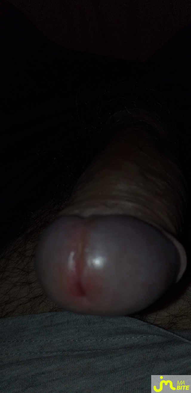 bites de marcojack