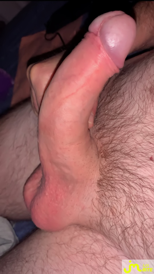 bites de Brigit036