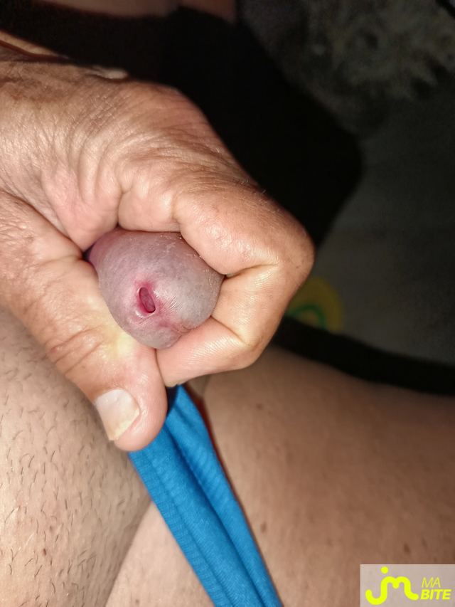bites de Le Grand Houdini