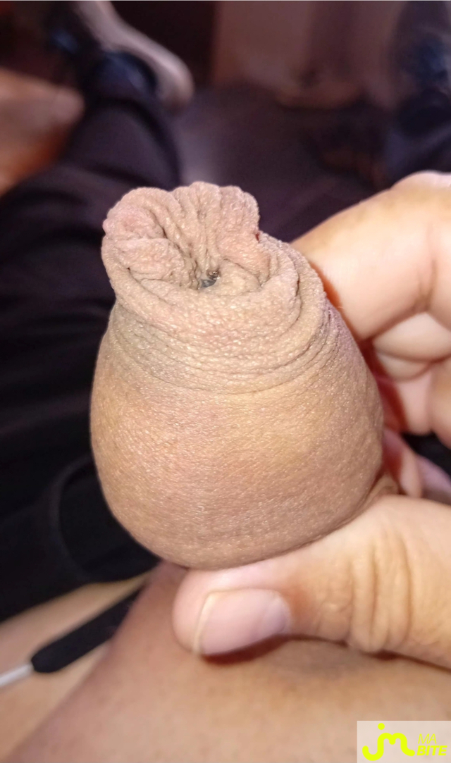 bites de ricou47