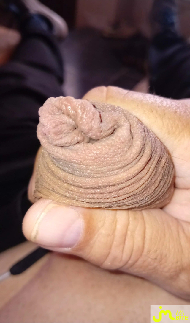bites de ricou47