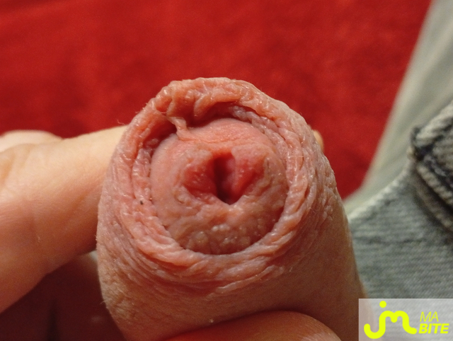 Photos de bites : Mon p'tit zizi toujours honteux 😭😭😭