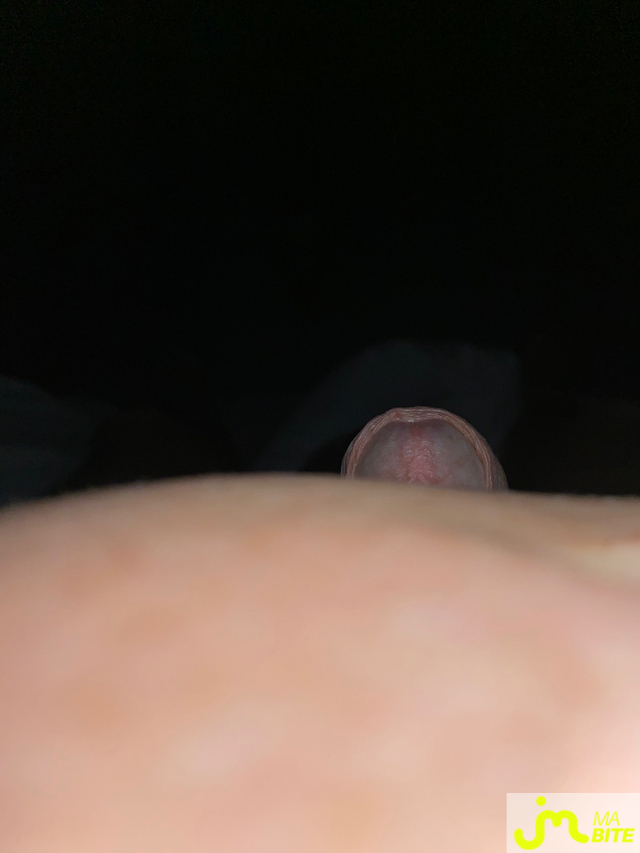 bites de miloo76