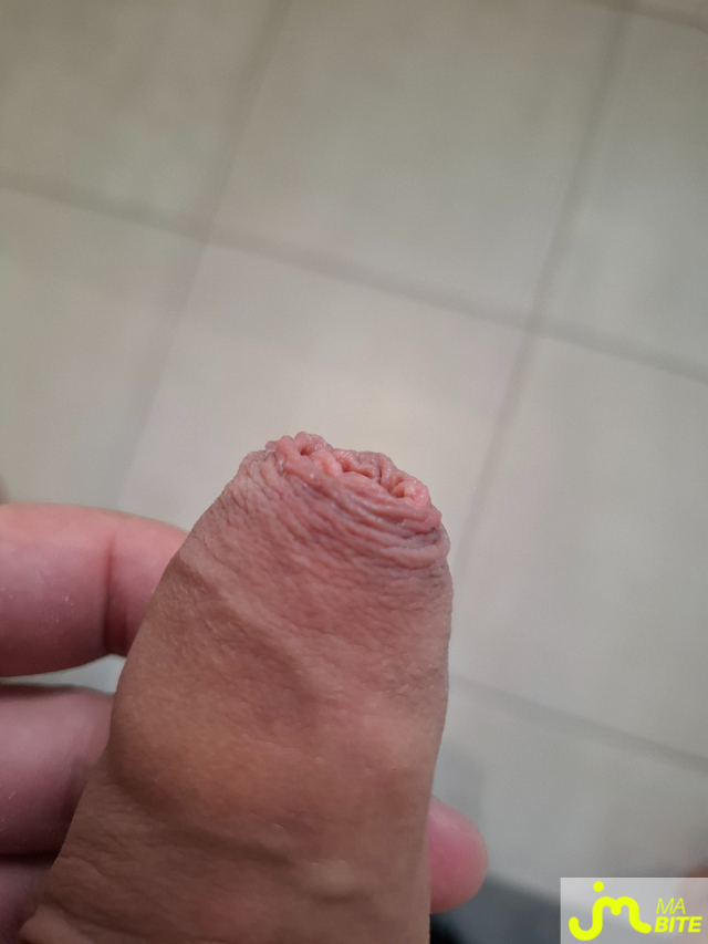 bites de Kavox