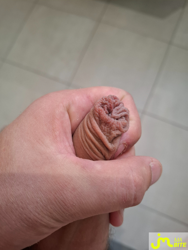 bites de Kavox