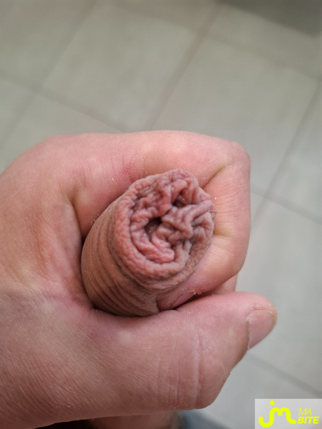 bites de Kavox