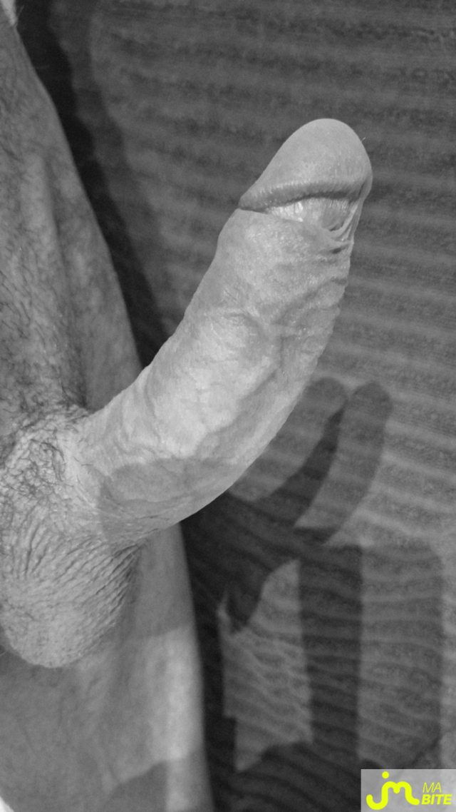 bites de 4plaisir66